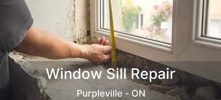 Window Sill Repair Purpleville - ON