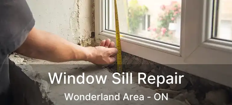 Window Sill Repair Wonderland Area - ON