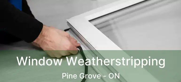 Window Weatherstripping Pine Grove - ON