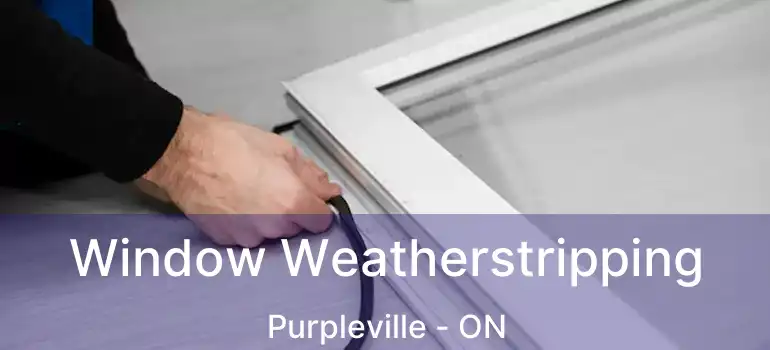  Window Weatherstripping Purpleville - ON