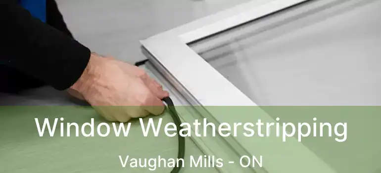  Window Weatherstripping Vaughan Mills - ON