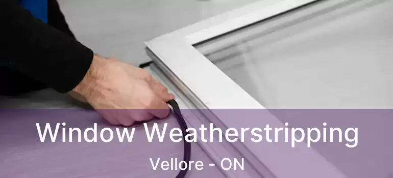  Window Weatherstripping Vellore - ON