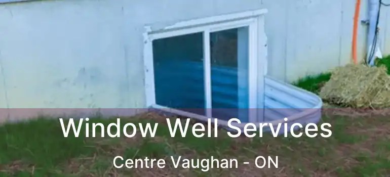  Window Well Services Centre Vaughan - ON