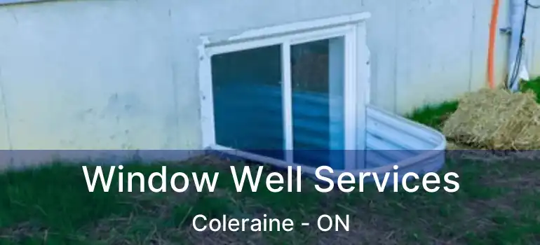 Window Well Services Coleraine - ON