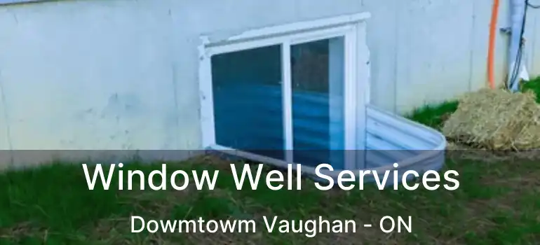  Window Well Services Dowmtowm Vaughan - ON
