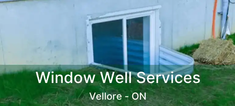 Window Well Services Vellore - ON