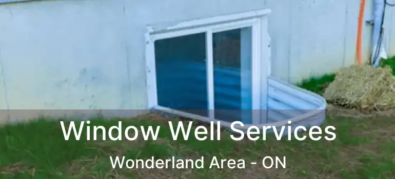 Window Well Services Wonderland Area - ON