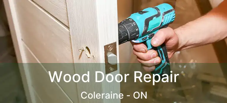 Wood Door Repair Coleraine - ON