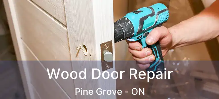 Wood Door Repair Pine Grove - ON