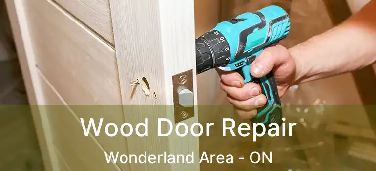 Wood Door Repair Wonderland Area - ON